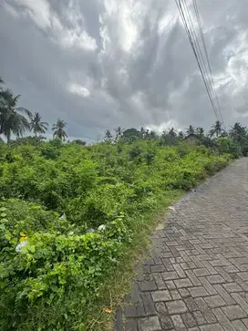 Dijual Tanah Strategis di  Rogojampi Banyuwangi!