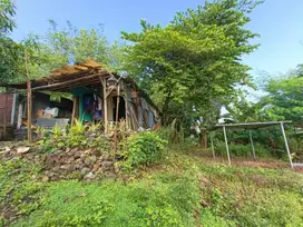 Jual Tanah daerah Gajah Mungkur Semarang – 10700