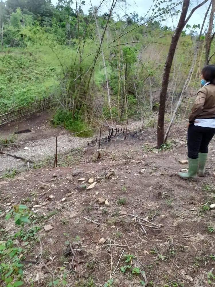 Dijual Tanah Kebun