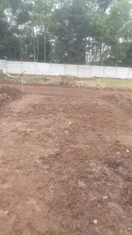 Dijual tanah murah Tangerang harga mulai dari 1jtan