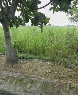 Tanah Strategis Nol Jalan Raya Pergudangan Dekat GOR Ken Arok Malang