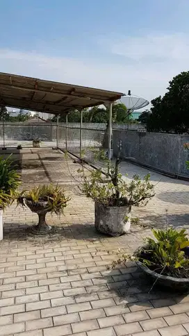 Dijual Rumah Kertajaya Indah Surabaya RIC.A227