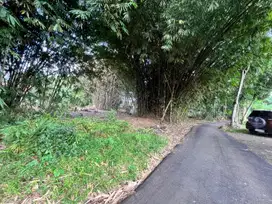 Tanah kavling mulai dari 2jtan, Cisauk JL Mekarwangi
