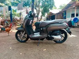 Honda Scoopy 2023 pajak on 02 2026