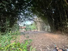 Tanah kavling murah - Cisauk JL Mekarwangi