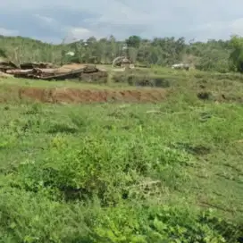Tanah Luas 31250m Lokasi Strategis Cocok Untuk Perumahan