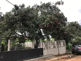 Dijual Kavling Di Belakang Mitra 10 Cibubur