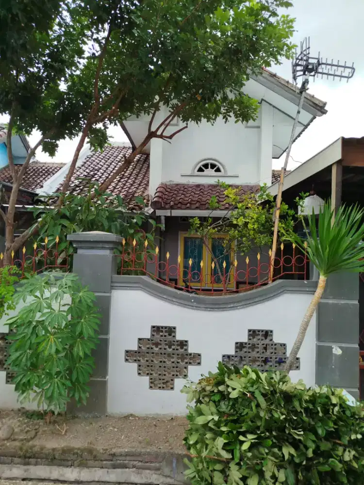 Disewakan rumah di Griya Seruni Permai Blok F No 74, Ampenan, Mataram