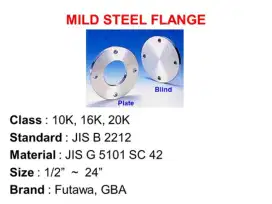 Mild Steel Flange