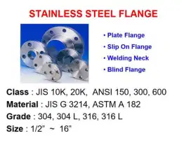 Stainless Steel Flange