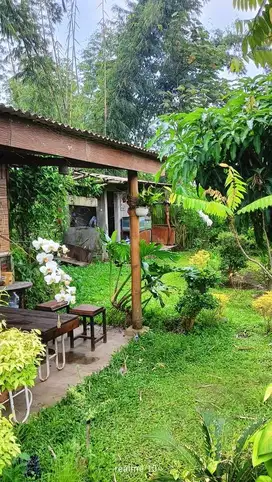 Dijual Tanah Luas Murah Cocok untuk Usaha di Gedang Sri rejeki Kepanjen - Malang