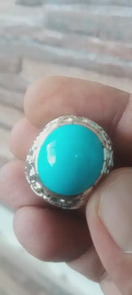 Pirus persia biru polos