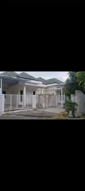 Disewakan rumah jejer 3 persis, bisa salah satu atau semuanya