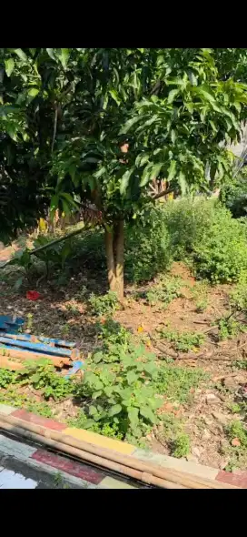 Dijual Tanah Strategis 155 m² di Kedungmundu Tembalang - Semarang