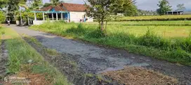 Dijual sawah view merapi dan hamparan persawahan di manisrenggo Klaten