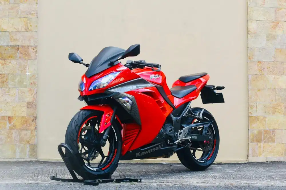 Kawasaki  ninja250 Fi like new MT25 versys250 W250