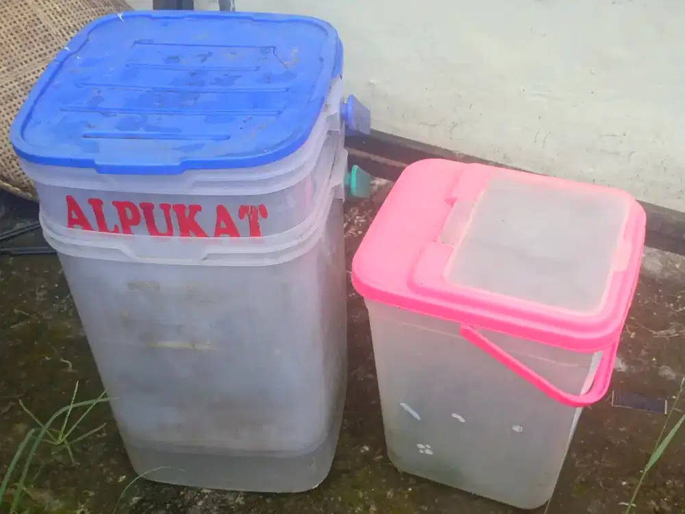 Jual bok es aquarium 4 buah