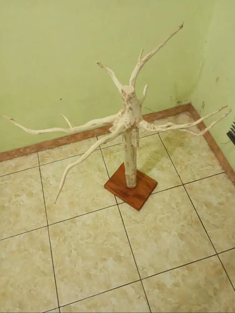Tangkringan Burung