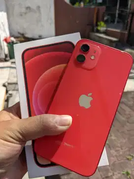 Iphone 12 64gb ibox,mulus,nominus.