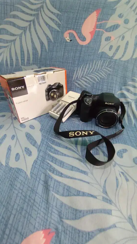 Kamera Sony DSC H300