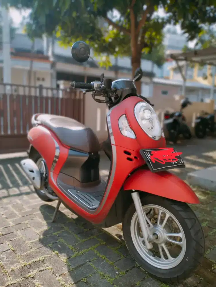 Scoopy stylist 2021