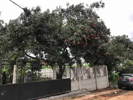 Di Jual Kavling di belakang Mitra 10 Cibubur