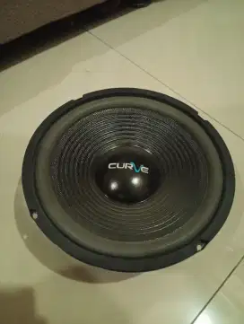 WOOFER 10 INCH MERK CURVE PEAK POWER 300 WATT