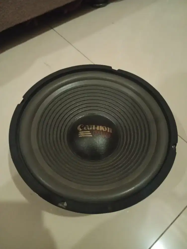 WOOFER CAN-NON 10 INCH 300 WATT MAX