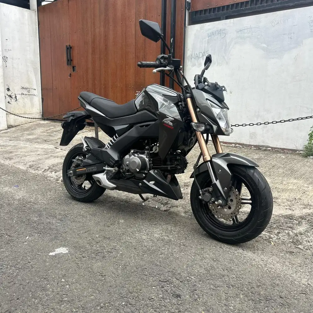 Kawasaki z 125 pro