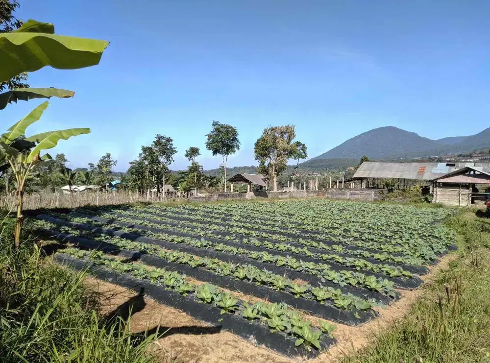 jual tanah baturiti Tabanan dekat Bedugul