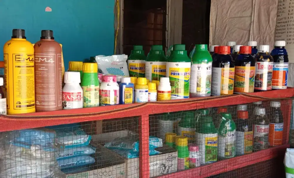 Pembakar dan obat semport