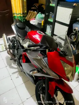 ninja mono 250 cc