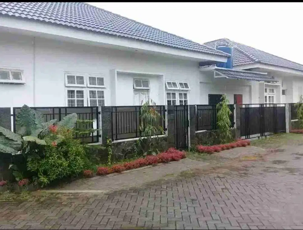 Dijual Rumah Cocok buat Gudang