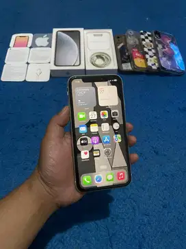 Iphone XR 64gb resmi ibox