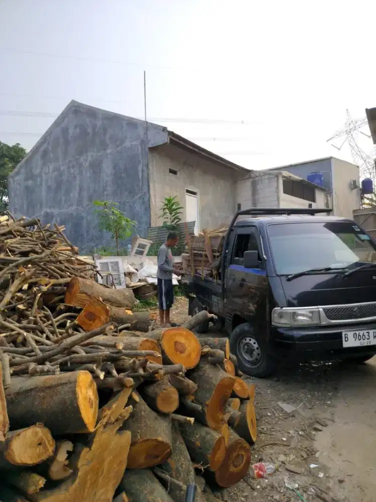 Jasa Tebang Pohon, jasa angkut dan buang sampah, puing, kayu dll