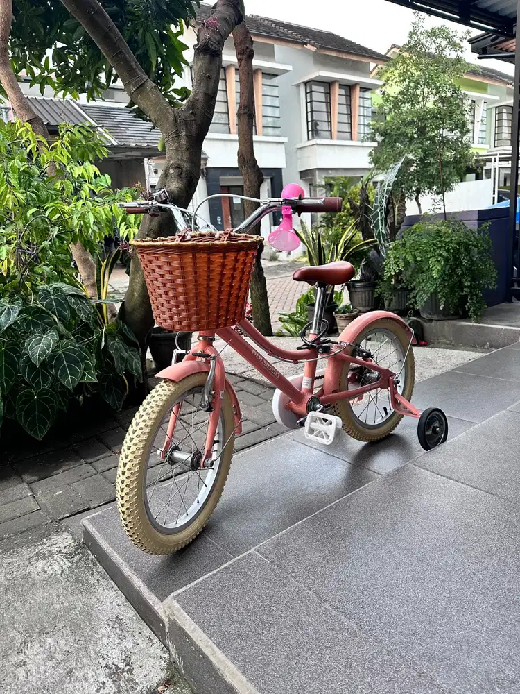 Sepeda Anak Polygon Alice 16” Pink
