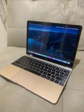 Macbook Retina 12” 2017 256GB