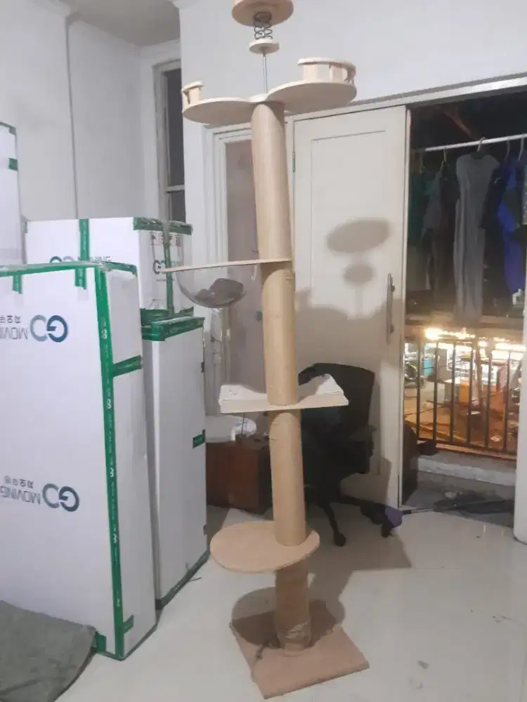 condo garukan kucing