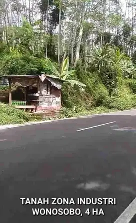 DIJUAL TANAH INDUSTRI WONOSOBO, JAWA TENGAH