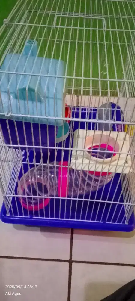 Kandang hamster