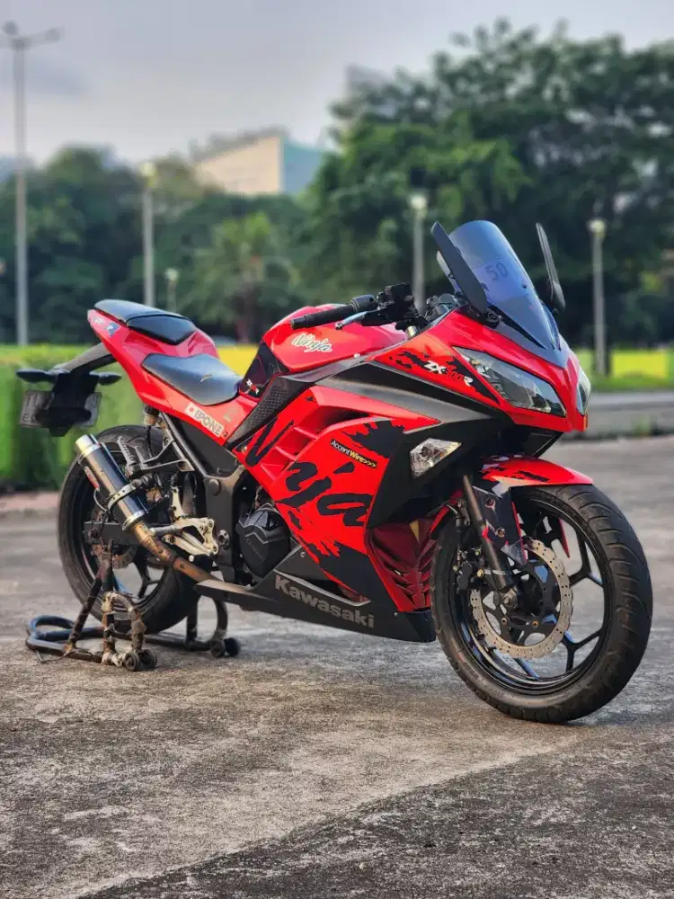 Kawasaki Ninja 250 FI With R9