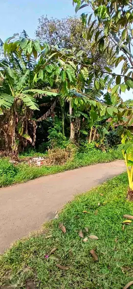 TANAH CANTIK BUAT RM TINGGAL DAN KONTRKAN