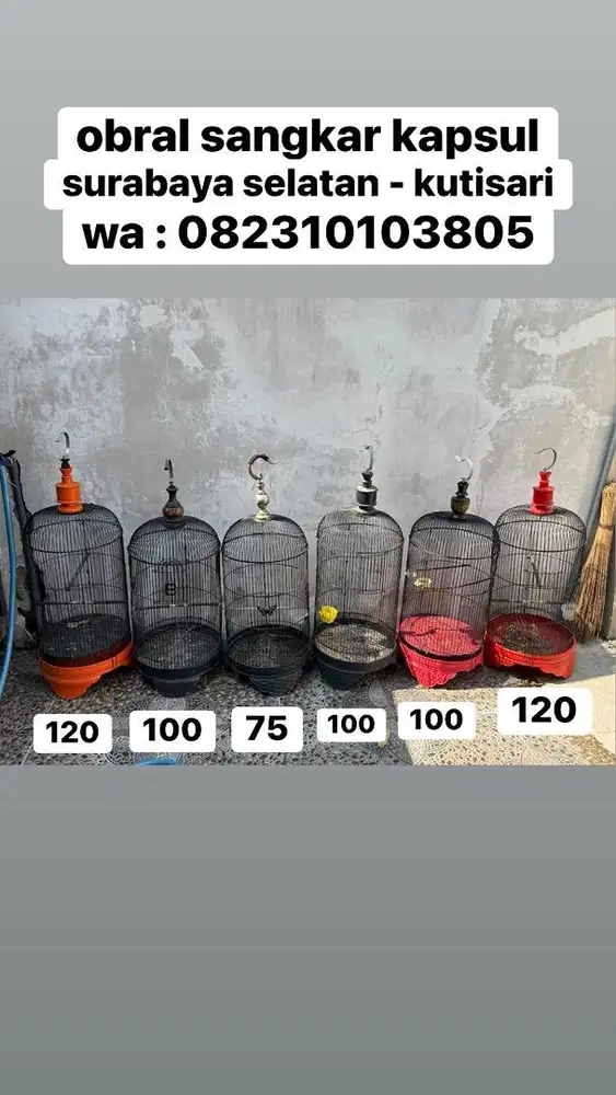 sangkar burung kotak dan kapsul