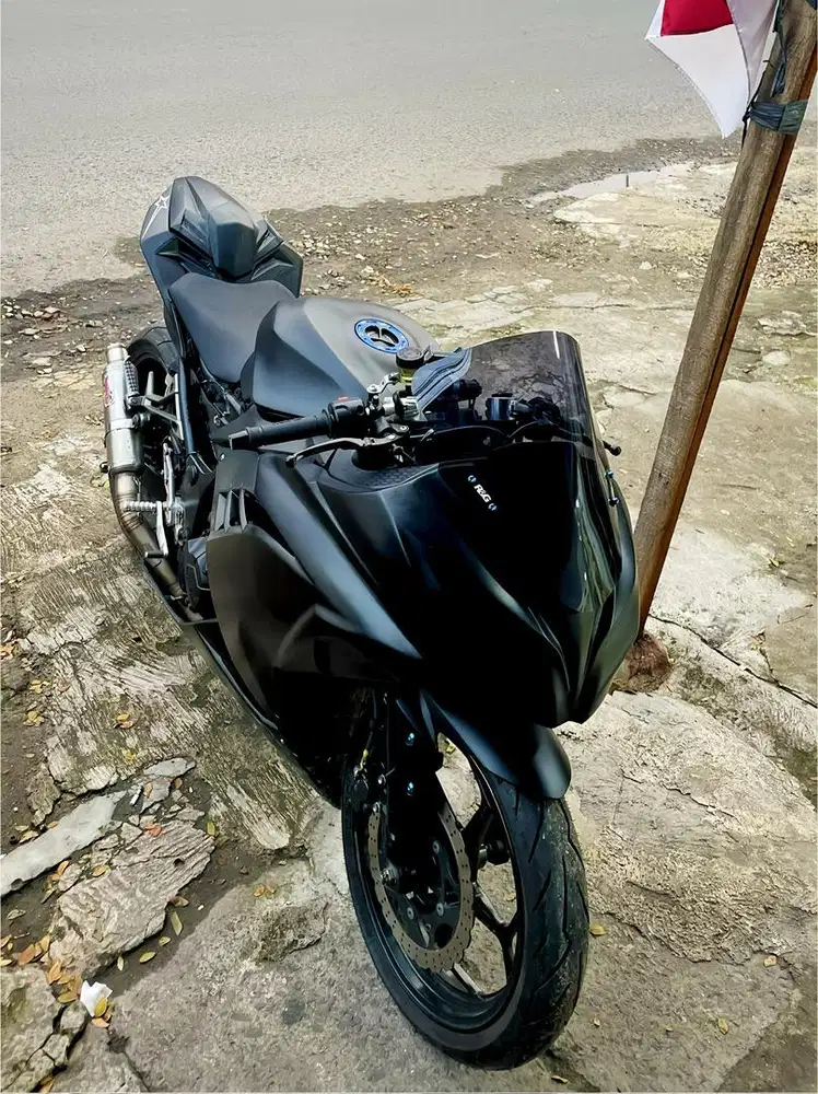 ninja 250fi 2013