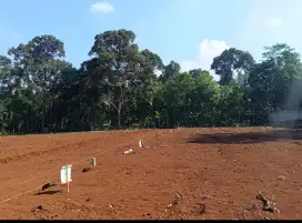 Tanah murah gunung Pati bisa di kredit