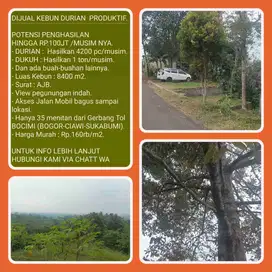 Kebun Durian Produktif 8400 M2 Investasi menguntungkan potensi penghasilan 100jt tiap musimnya Lokasi hanya 30 menit dari gerbang tol BOCIMI (Bogor Ciawi Sukabumi) Gerbang Tol Parungkuda 007.