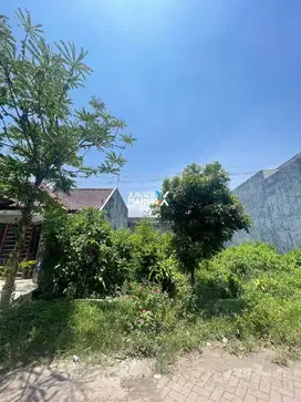Dijual Tanah di Bunga - bunga, Suhat, Lowokwaru Kota Malang