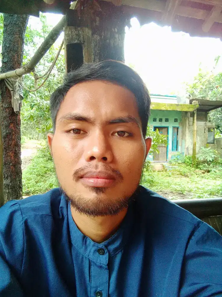 Lagi nyari kerja apa aja