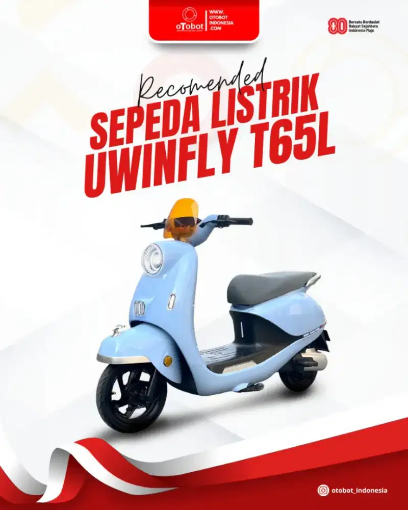 Sepeda listrik T65L