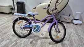 Wimcycle Sepeda Anak Yuna 20

Pemakaian 1 tahun lebih
